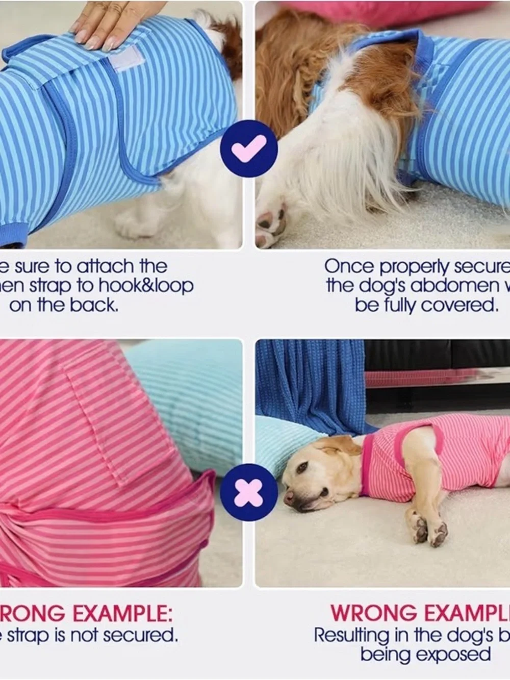 Dog XXL recovery Suit Male Female